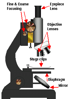 Common optical microscope and its principal parts