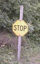 Yellow old-style (1924-1954) stop sign; color, size, and mounting height are typical