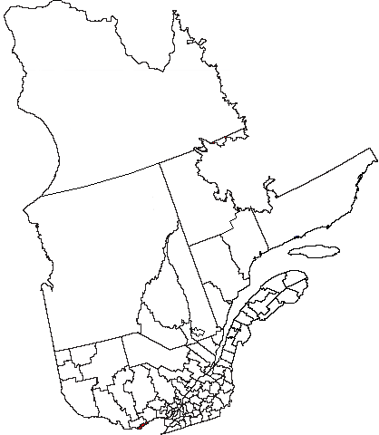 Map of Quebec with Gatineau highlighted in red.