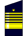Fleet Admiral Sleeve Insignia