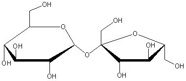 Diagram illustrating structure of the sucrose molecule