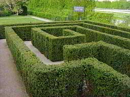 Public maze in Schnbrunn Palace