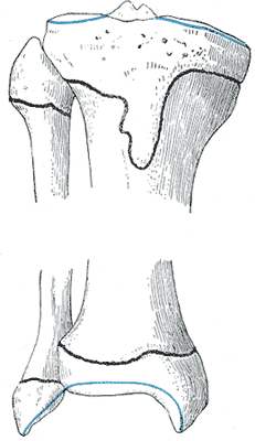 image:Gray261.png