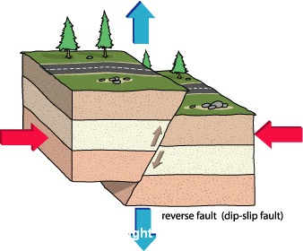 Schematic illustration of a reverse fault. Note that the view is a cross-section through the Earth, such that the up-direction on the page is away from the centre of the Earth.
