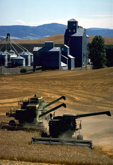 A farm in Whitman County, Washington