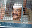 Arun Gawli being taken to jail