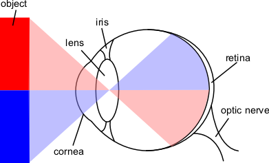 Image:eye-diagram.png
