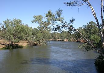 A branch of the Murray in its middle reaches, near Howlong, New South Wales.