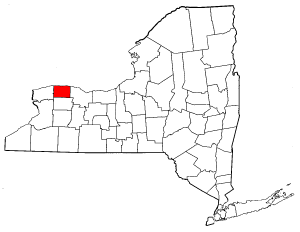 Image:Map of New York highlighting Orleans County.png