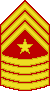 Sergeant Major
