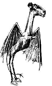 Illustration of Jersey Devil, drawn from description by Nelson Evans, Philadelphia Evening Bulletin, 1909