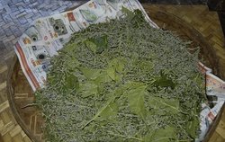 Silkworms at a silk factory in Thailand. Picture provided by [http://classroomclipart.com Classroom Clip Art[