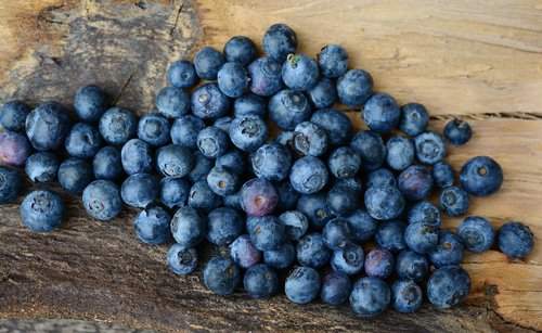 fresh blueberries on wood background