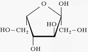 alpha-L-Fructose