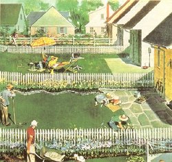Illustration of the backyards of a surburban neighbourhood