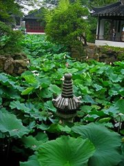 The Humble Administrator's Garden, one of the classical gardens of 