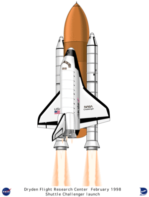 Reusable orbiter (center) External tank (copper colored object at top center), Boosters (to the right and left of external tank)