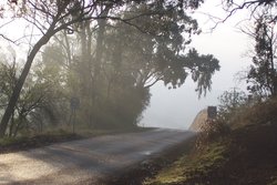 Misty road in Australia. Entering into a township
