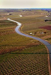 This irrigation ditch receives its water from the Yakima River.  This ditch and many like it supply the water necessary for the vast array of crops grown in the river valley.