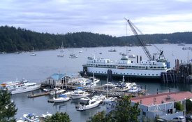 The harbor at Friday Harbor, with a docked ferry awaiting passengers.