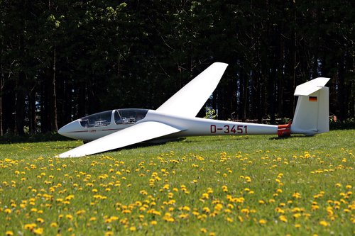 Glider in Meadow
