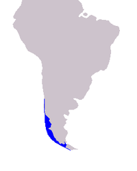 Chilean Dolphin range