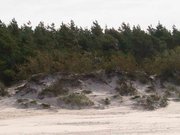Dunes on Baltic Sea shores
