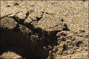 Footprint in Sand near Morrow Bay, California. Image provided by Classroom Clip Art (http://classroomclipart.com)