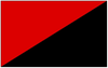 Anarcho- syndicalist flag.