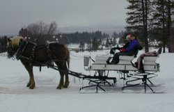 A horse-drawn sleigh