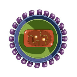 Illustration of a Virus. Image provided by Classroom Clip Art (http://classroomclipart.com)