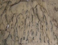 Dripstone in Skull Cave