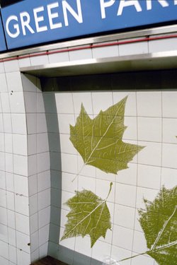 Unique tilework at this station represents the many trees in nearby Green Park