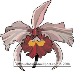 Flower Picture provided by Classroom Clip Art (http://classroomclipart.com)