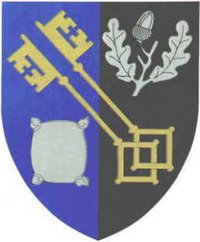 Arms of Surrey County Council