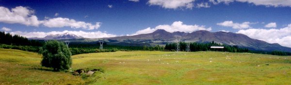 The three volcanoes: Snow-capped Ruapehu (left), conical Ngauruhoe (centre) and broad-domed Tongariro (right)