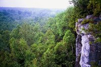 A section of escarpment cliff, seen from the Bruce Trail in Ontario.