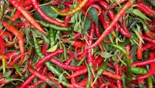 Cayenne chile peppers
