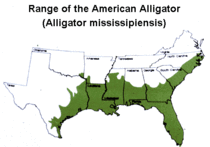 American Alligator range map