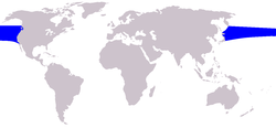 Northern Right Whale Dolphin range