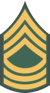 E-8 insignia