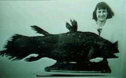Marjorie Courtenay-Latimer with the first discovered Coelacanth