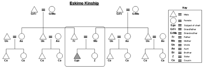 Graphic of the Eskimo kinship system