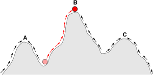 In  the  of a  of organisms is sometimes depicted as if travelling on a . The arrows indicate the preferred flow of a population on the landscape, and the points A, B, and C are local optima. The red ball indicates a population that moves from a very low fitness value to the top of a peak