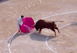 Bull attacking a matador