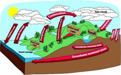 Water Cycle Clipart provided by Classroom Clip Art (http://classroomclipart.com)