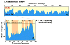 Sea level changes and relative temperatures