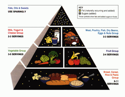 This Food Pyramid diagram can be found on much of the food packaging in the United States