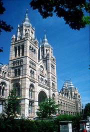 The Natural History Museum in South Kensington, London, has an ornate  facade typical of high Victorian architecture. The carvings represent modern and extinct plants and animals.