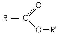 Image:GeneralEster.png
